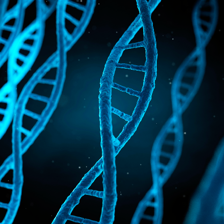 Adaptógenos naturales y estrés | KOI Natur España 🧬